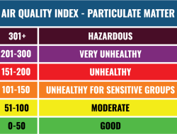 Angka 6 di IKN Pagi Tadi, Inilah yang Dikatakan Jokowi sebagai Air Quality Index