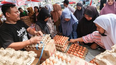 Telur Melimpah di Bulan Ini, Harga Semakin Terjangkau di Berbagai Daerah