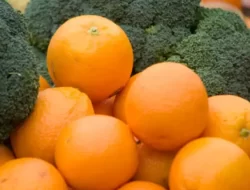 Makanan Ajaib yang Bantu Lawan Mpox dan Tingkatkan Kekebalan Tubuhmu!