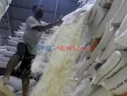 Eks Komisioner KPK Tekankan Signifikansi Penyelesaian Kasus Demurrage Impor Beras