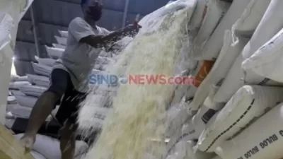 Eks Komisioner KPK Tekankan Signifikansi Penyelesaian Kasus Demurrage Impor Beras