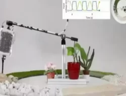 Inovasi Terbaru: Robot Diciptakan dengan Otot Buatan