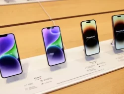 Perbarui Informasi Gadget Terbaru Harga iPhone di iBox pada November 2024