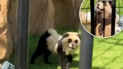 China Dituding sebagai Negara Pencetus Produk Palsu Global