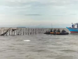 Deddy Sitorus PDIP Sebut Perlu Pansus DPR Usut Pagar Laut Tangerang