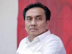 Effendi Simbolon Singgung Megawati usai Hasto Tersangka: Ketua Umum juga Harus Diperbarui