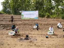 PLN EPI-Kementan Awal Proyek Sistem Pertanian Terpadu Tanaman Daya di dalam Brebes