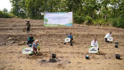 PLN EPI-Kementan Awal Proyek Sistem Pertanian Terpadu Tanaman Daya dalam pada Brebes