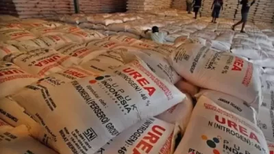 Strategi Disederhanakan, Petani Tebus 7.536 Ton Pupuk Subsidi di area tempat  Awal Tahun