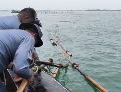 PSI Apresiasi Gerak Cepat sekali Pemerintahan Prabowo Tangani Kasus Pagar Laut