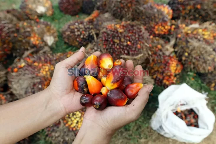 16 Invensi Hasil Studi GRS 2021-2023, Lebih dari Separo Siap Hilirisasi!