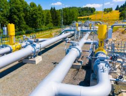 HGBT Dilanjutkan, Kadin kemudian Inaplas Optimistis Bidang Industri Makin Kompetitif