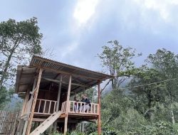 Iksan Skuter di Benteng Senggang Bulukumba! Suasana Hutan, Musik, dan Kumpul Pecah di Sena Fest 2025