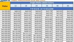 Cicilan KUR BRI 2025 Mulai Rp1 Juta/Bulan! Skema Terjangkau & Cara Pengajuan Online