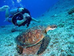Ingin Laut Sebening Kristal? 13 Spot Snorkeling Terbaik di Indonesia