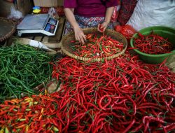 Harga Pangan Naik Jelang Nataru: Cabai Rawit Rp90 Ribu/kg, Daging Sapi Rp130 Ribu/kg