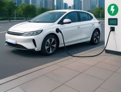 Di Balik Kemajuan Mobil Listrik, Bagaimana Adopsinya di Indonesia?