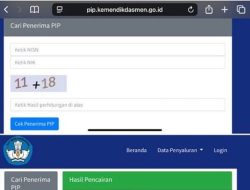 Cara cek PIP 2025 di HP, kunjungi PIP.kemendikdasmen.go.id