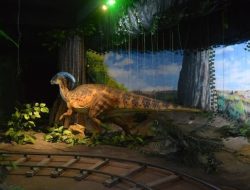 Ingin liburan edukasi untuk anak? Ini 10 tempat menarik di Yogyakarta