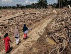 Merawat Bumi Pasca Bencana Sumatera, Mengubah Paradigma Pembangunan Nasional