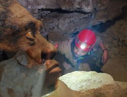 Pertemuan Manusia dan Hominin di Sulawesi 50.000 Tahun Lalu