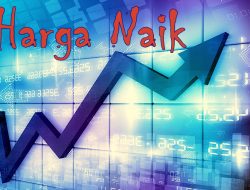 Harga HP Realme 2025 Terbaru: Daftar Lengkap Model Terbaru