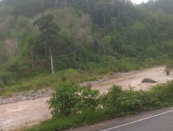 Hulu Jambi Banjir, Desa Sungai Talang Terancam Akibat Tambang Emas Ilegal