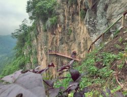 13 Desa Wisata Semarang Tampil, Wonolopo Sajikan Edukasi Jamu dan Kampung Usaha