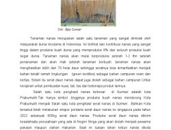 Dari Nanas hingga Rami, Potensi Serat dan Pewarna Alami Pakaian Indonesia