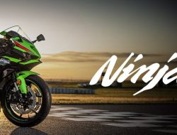 Kawasaki Z400 Jadi Motor Serba Guna dan Senjata Performa di Indonesia 2026