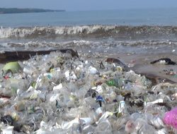 Ratusan Relawan Bersihkan Kedonganan Bali, Kampanye Batasi Plastik
