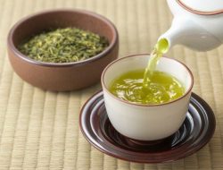 7 Minuman Peningkat Daya Ingat yang Baik untuk Otak