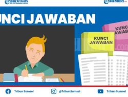Kunci Jawaban Tema 8 Kelas 5 SD Halaman 31-33: Jenis Usaha Masyarakat Indonesia