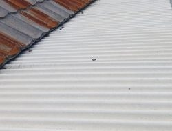 Kisah buruh asbes Karawang, terjebak antara ekonomi dan ancaman penyakit paru