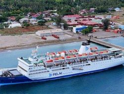 Jadwal Kapal Pelni Lambelu 1-21 Januari 2026: Rute Pantoloan, Balikpapan, Parepare