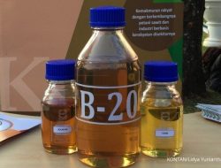 Petani Sawit Waspadai Kenaikan Pungutan Ekspor 2026 Akibat B50