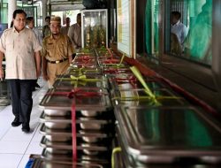 Program MBG Dorong Pemulihan Kinerja Widodo Makmur pada 2026