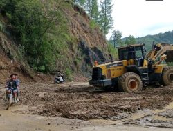 Setelah Prabowo Cabut Izin 28 Perusahaan Penyebab Bencana Sumatera, Apa Tindakan Berikutnya?