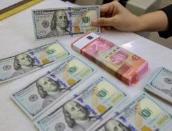 DPK Perbankan Kalimantan Meningkat, Kredit Melambat pada November 2025