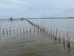 Kaleidoskop 2025: Persoalan Pagar Laut Tangerang hingga Ke Meja Hijau
