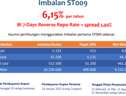 9 Resolusi Keuangan untuk Tahun 2026
