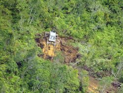 Tanah Tercicir Bisa Disita Negara, Apa Tujuan Prabowo?