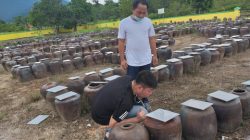 Tionghoa di Kepri: Dari Kuli ke Pemimpin Negeri