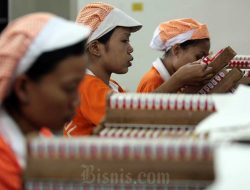 Tantangan Industri Rokok Akibat Pembatasan Nikotin dan Tar