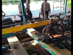 Ia Kembali, Harimau Sumatra Buat Warga Benteng Hulu Siak Takut