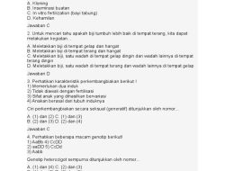 Soal IPA SMP Kelas 9 dan Kunci Jawaban USBN Biologi Fisika Madrasah