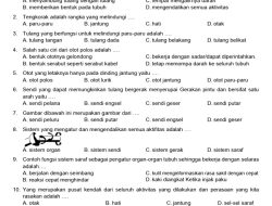 30 Soal Kuis ASTS IPAS Kelas 6 SD Semester 2 dengan Jawaban
