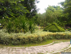 Ngabuburit Hemat di Taman Harmoni Keputih, Dunia Kecil Surabaya dengan Sakura dan Tulip