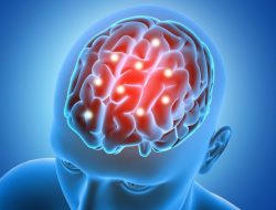 6 Kebiasaan Harian yang Merusak Otak, Apa Saja?