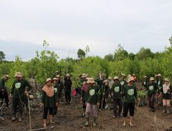PDASRH Perkuat Rehabilitasi Mangrove Sumatra dengan Program M4CR
